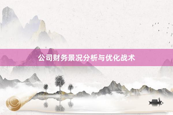 公司财务景况分析与优化战术